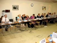 17-я встреча Комитета старших представителей международного партнерства «Северное измерение»